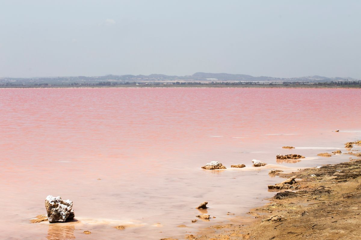 De roze zoutmeren van Torrevieja